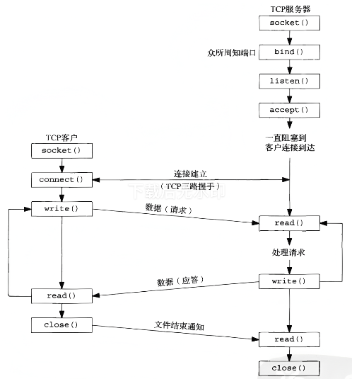 image-20250227110347849