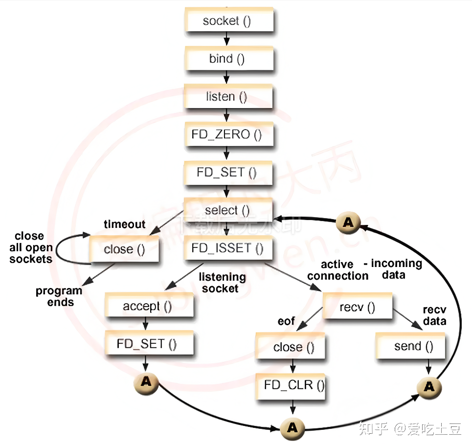 image-20250228165220864