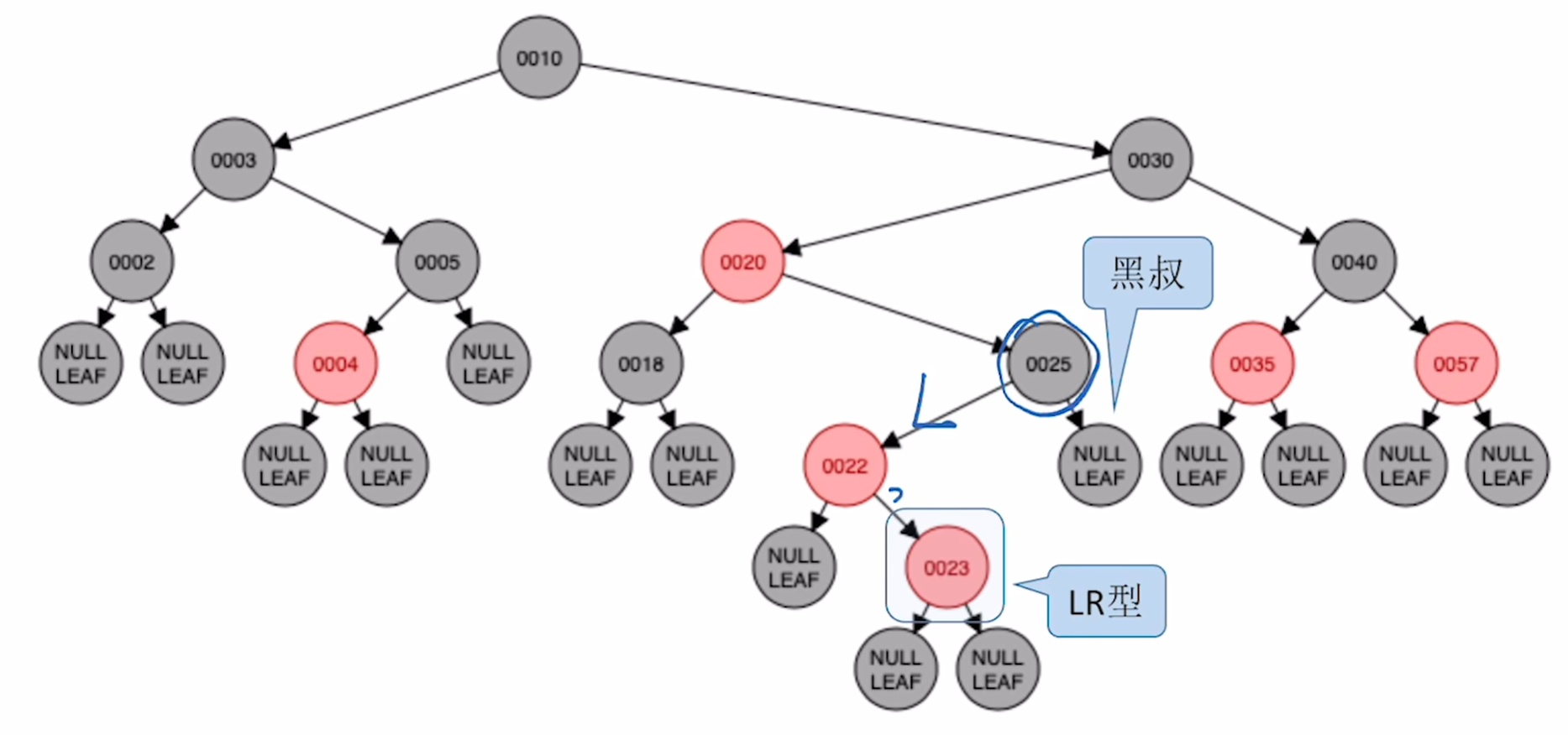 image-20250305113143751