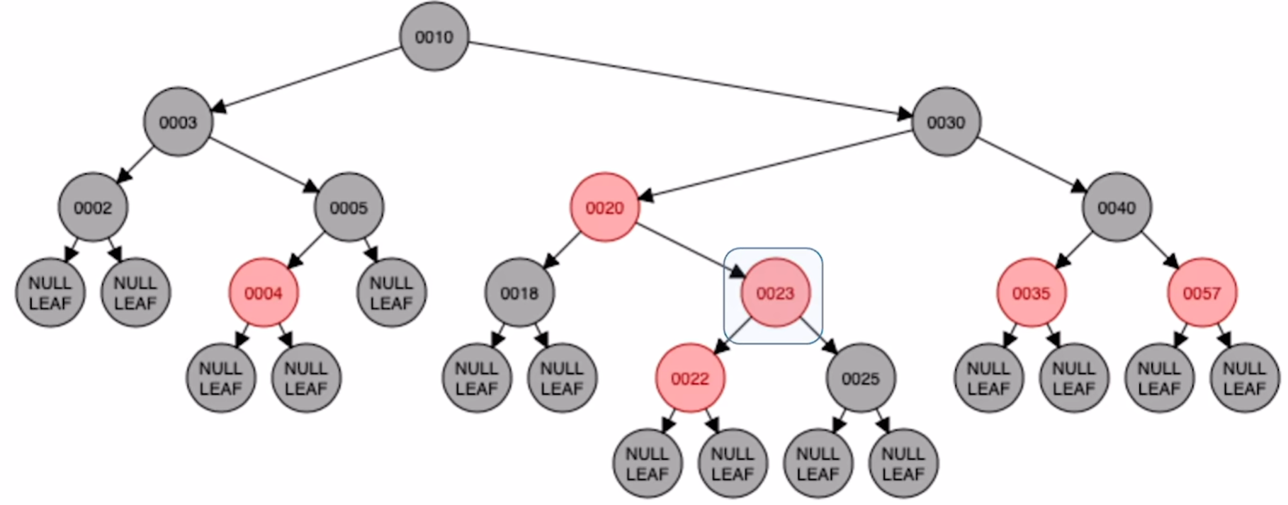 image-20250305113312437