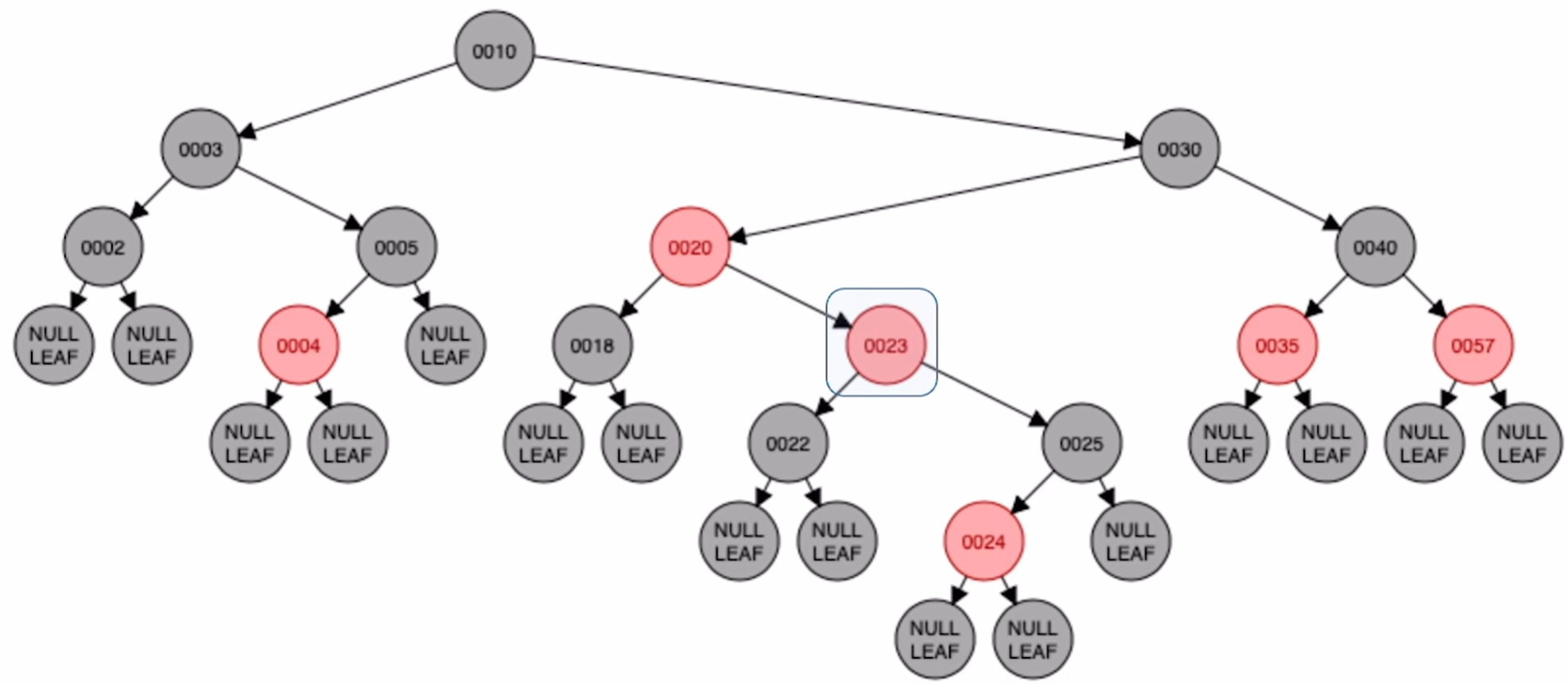 image-20250305113455307