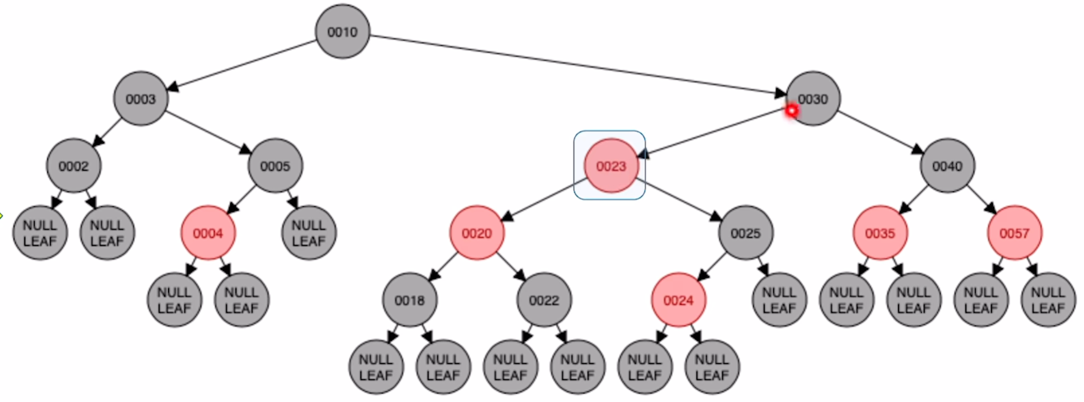 image-20250305113644076