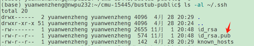 image-20250428204958016