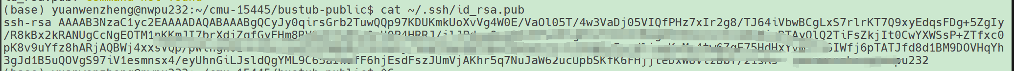 image-20250428205103869