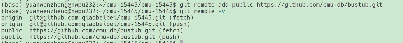 image-20250428210428476