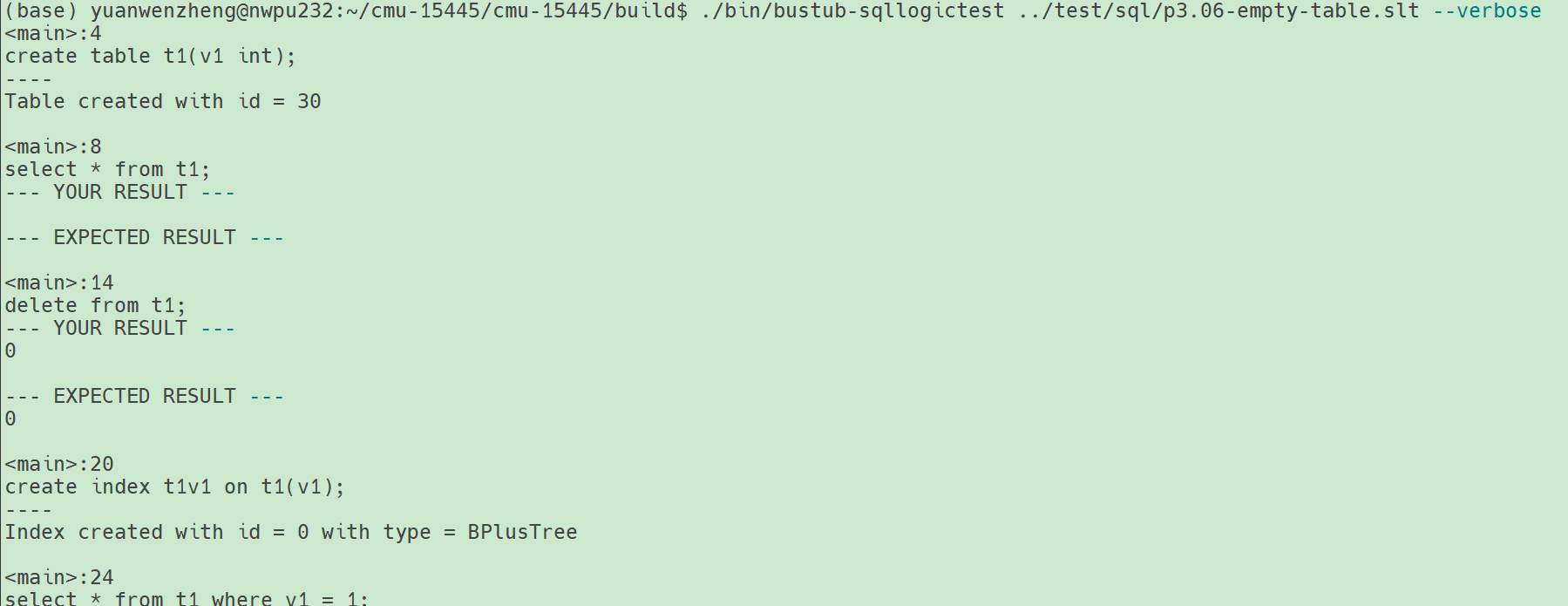 image-20250809151217394