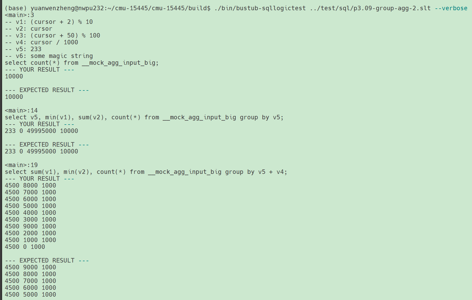 image-20250812142928770